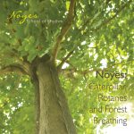Noyes: Caterpillar, Rotaries and Forest Breathing