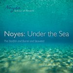 Noyes: Under the Sea