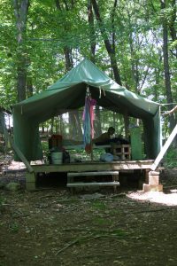 Platform tent in the woods with someone reading in bed.