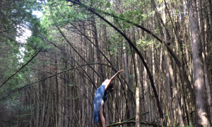 stretch in front of trees