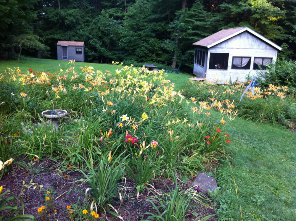 Cabins and Garden