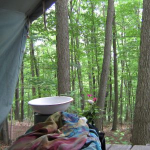 Tent woods view